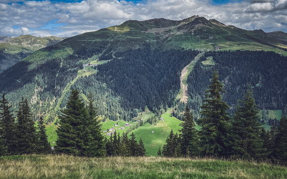 Blick von der gegenüberliegenden Seite auf die neue Talabfahrt des Skigebiets Jakobshorn im Sommer. | © Davos Klosters Mountains