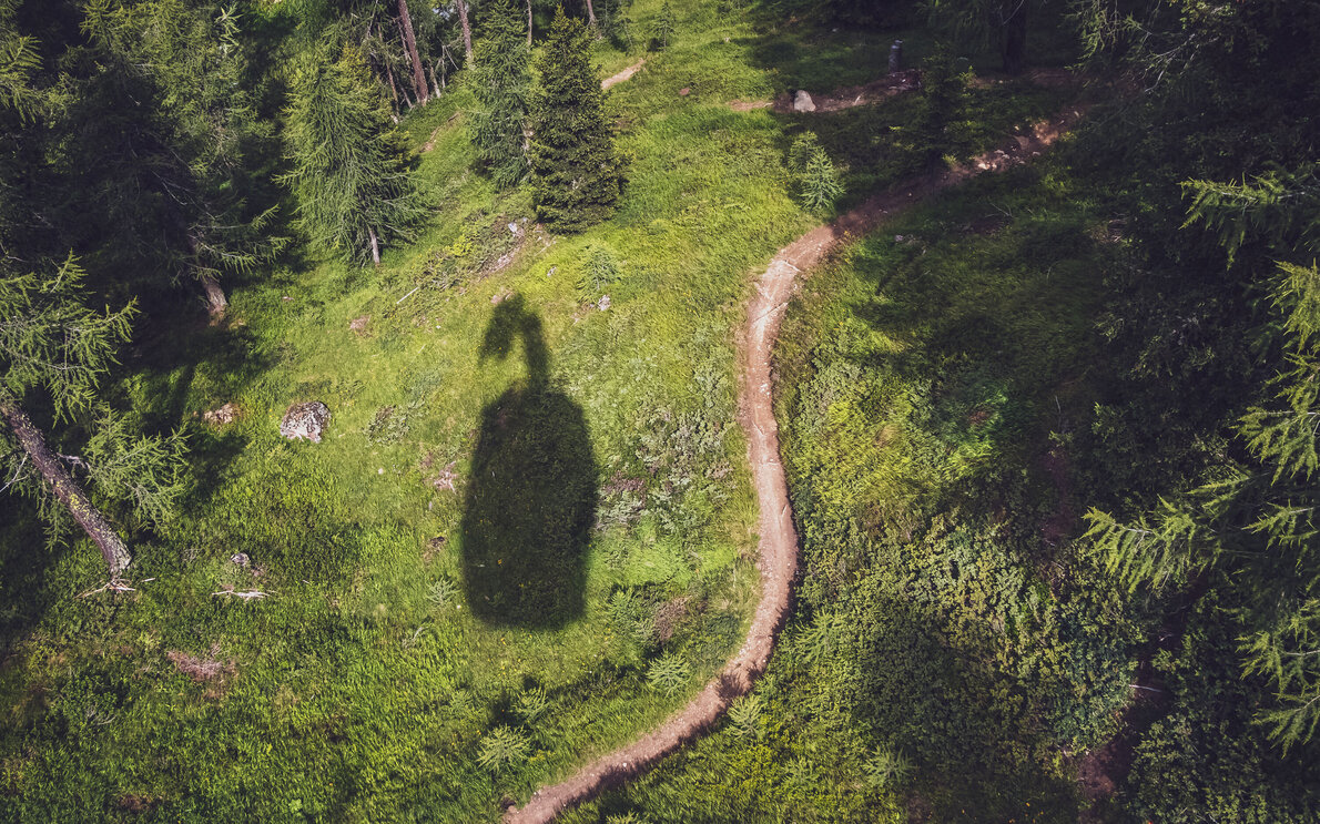 Auf einer Wiese neben einem Trail ist der Schatten der Jakobshorn Gondel ersichtlich. | © Davos Klosters Mountains