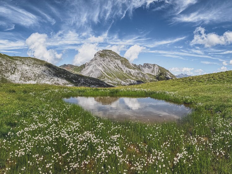 Kleiner See umringt von saftig, grüner Weide mit Bergen im Hintergrund | © Davos Klosters Mountains 