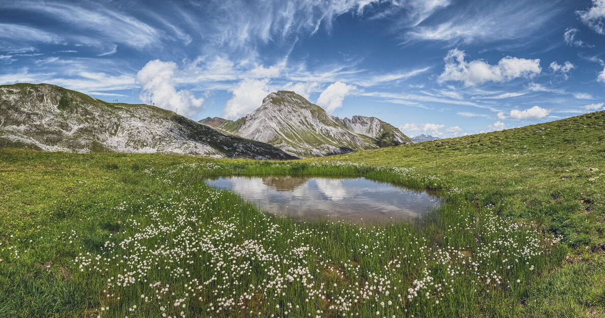 Kleiner See umringt von saftig, grüner Weide mit Bergen im Hintergrund | © Davos Klosters Mountains 
