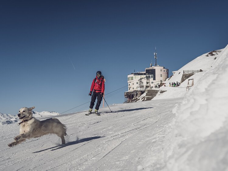 Patrouilleurin Seraina fährt mit ihren Skiern von der Bergstation Jakobshorn weg, begleitet von Hündin Emma. | © Davos Klosters Mountains