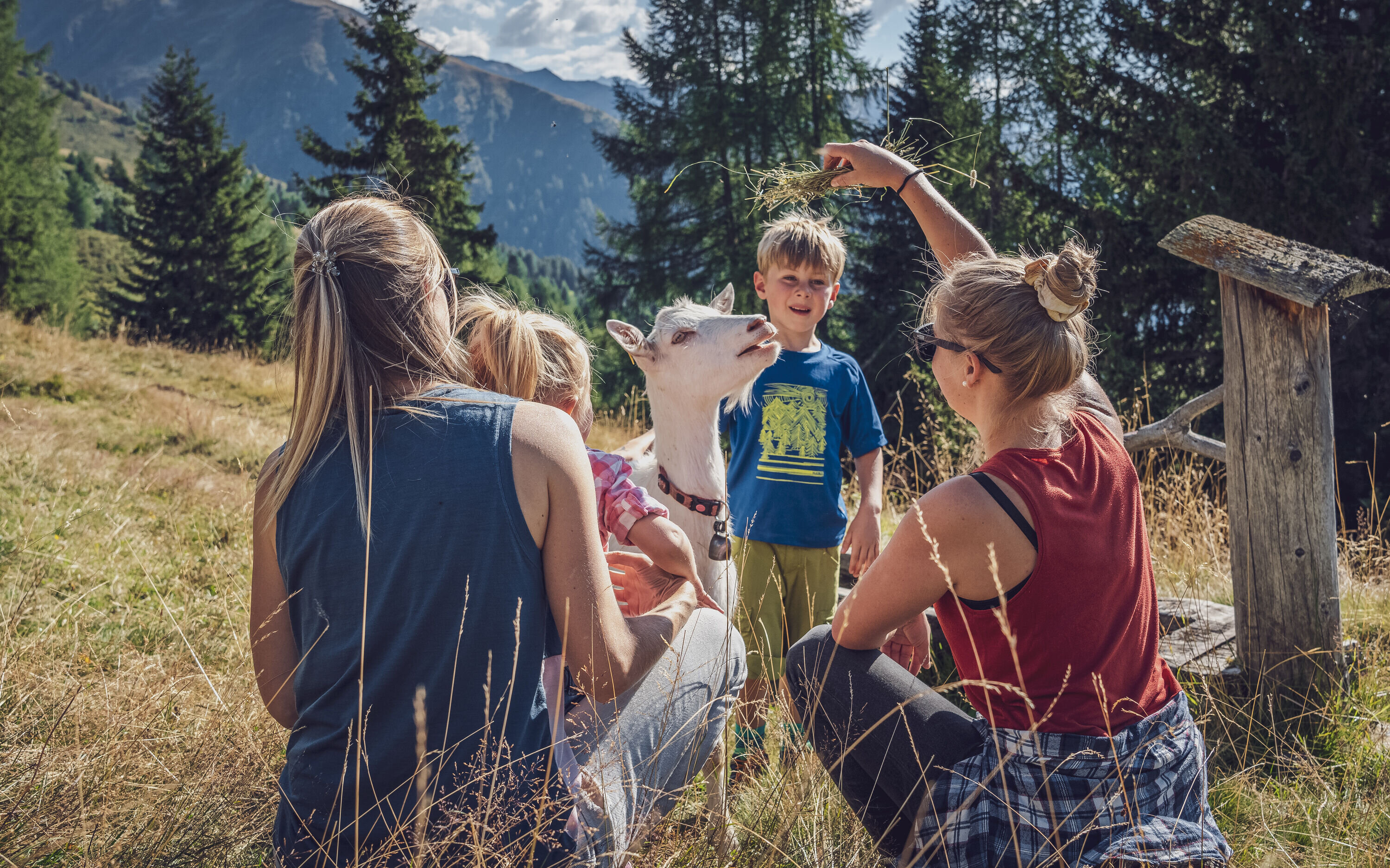 Familie füttert eine Geiss mit Gras  | © Davos Klosters Mountains 