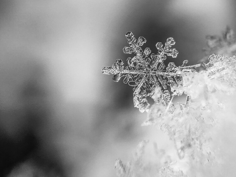 Die Schneeflocke nah aufgenommen ist ein Schneekristall mit einer einzigartigen Form. | © Davos Klosters Mountains