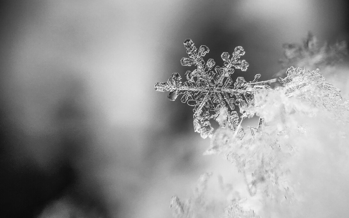Die Schneeflocke nah aufgenommen ist ein Schneekristall mit einer einzigartigen Form. | © Davos Klosters Mountains